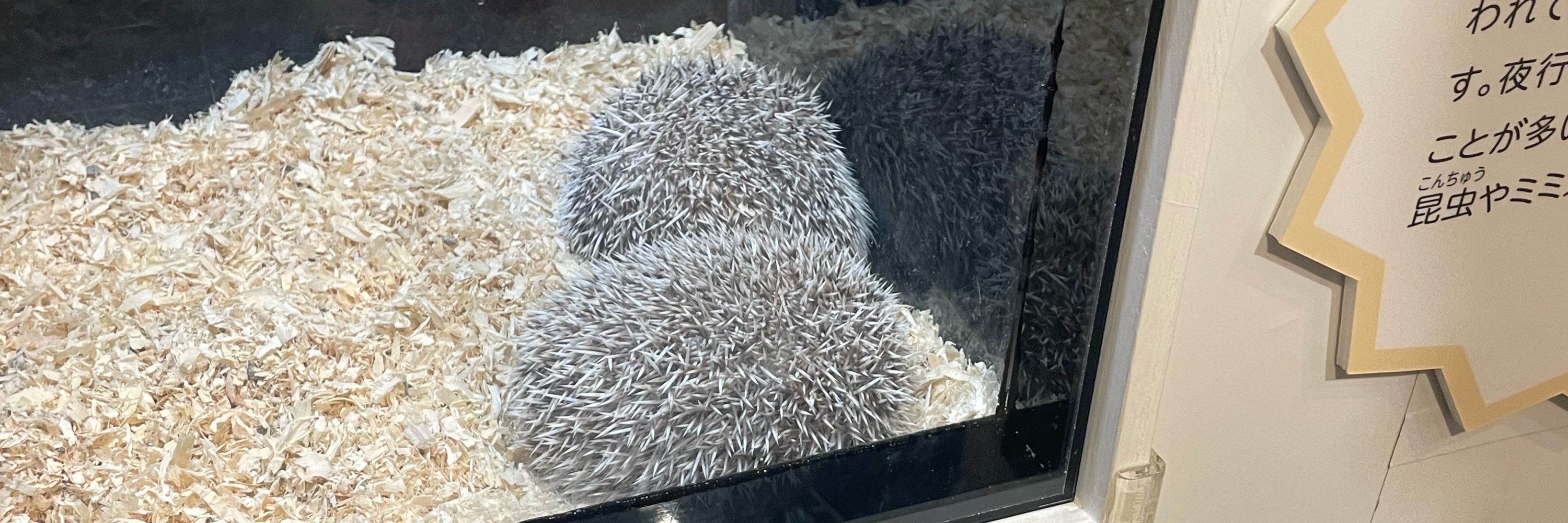 ボタニカル