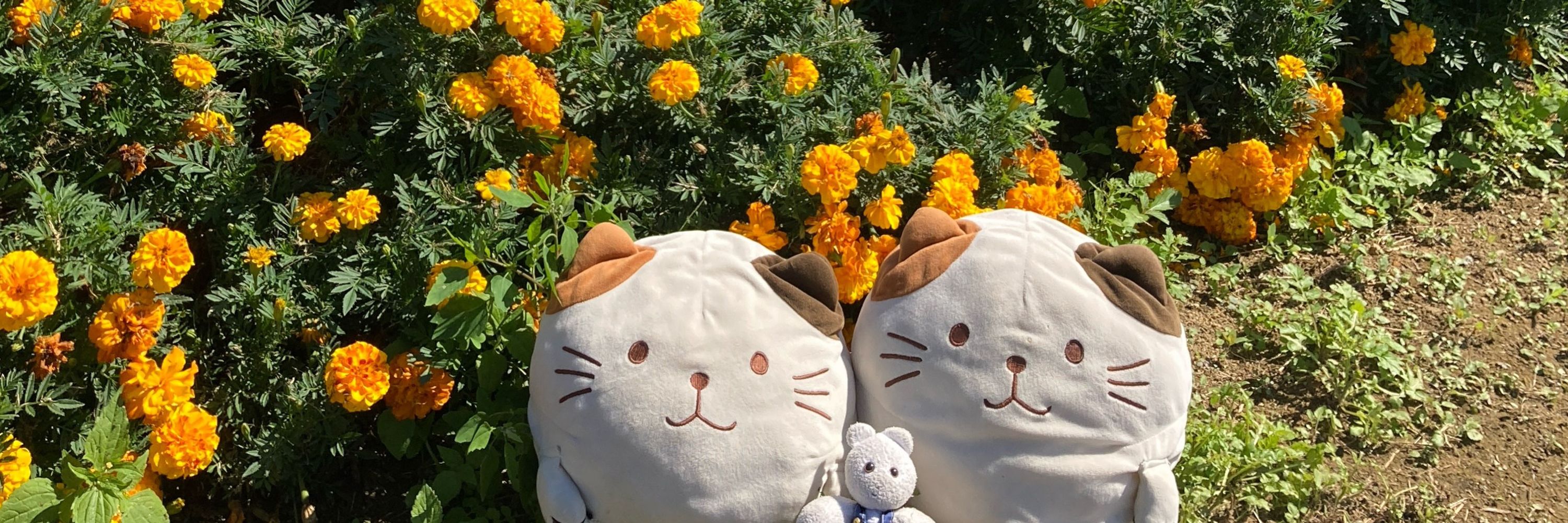 ひろこ