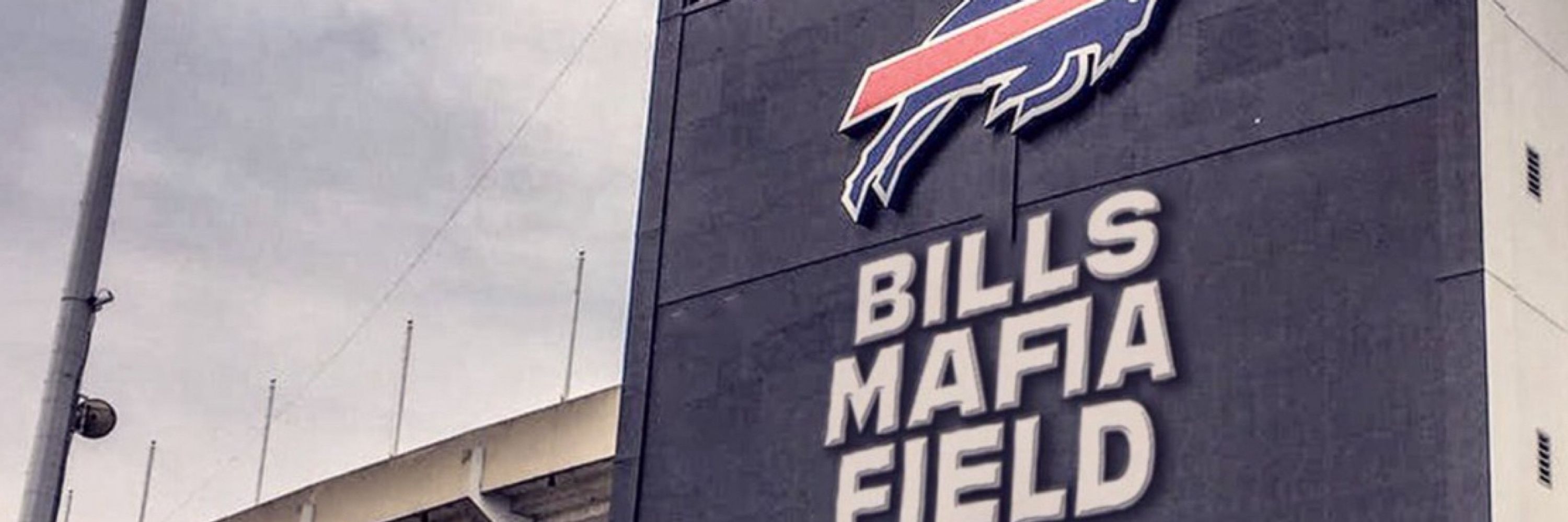 Billsy McBills Face