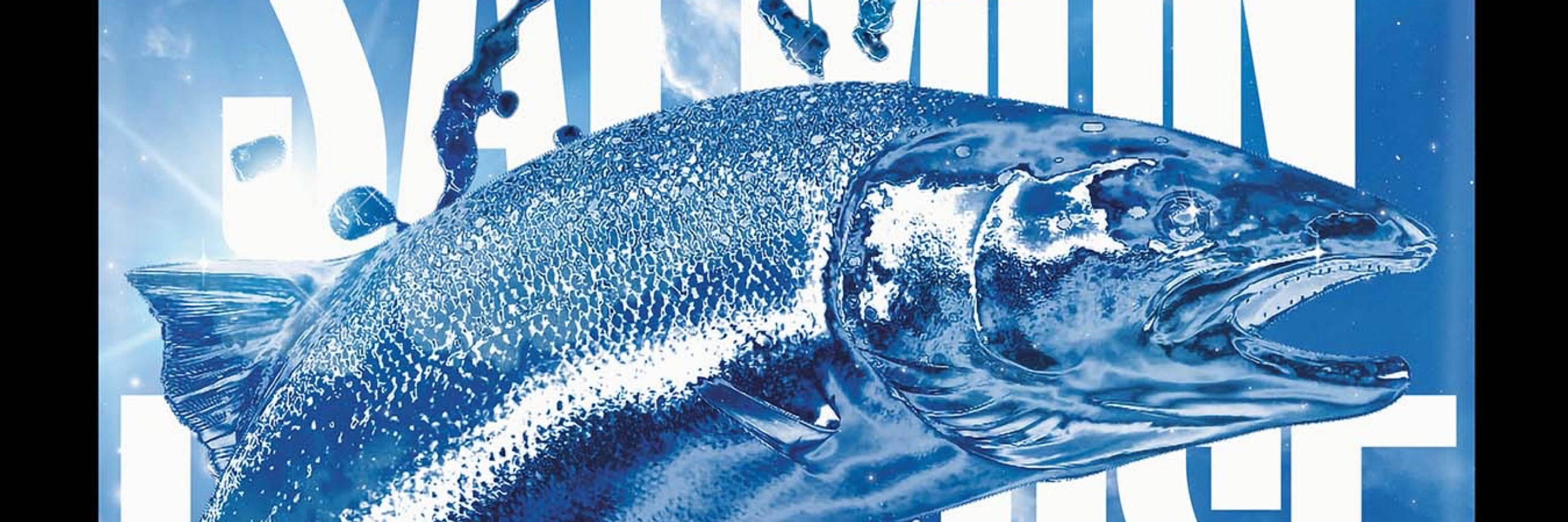 Salmon Universe