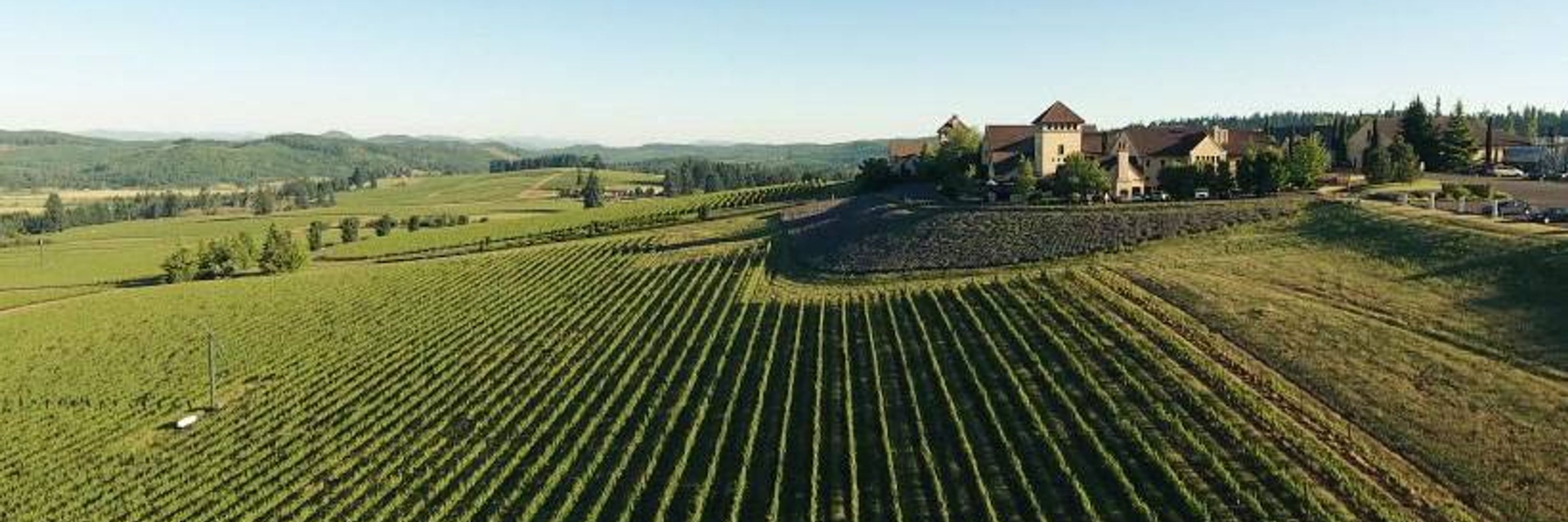 King Estate Winery