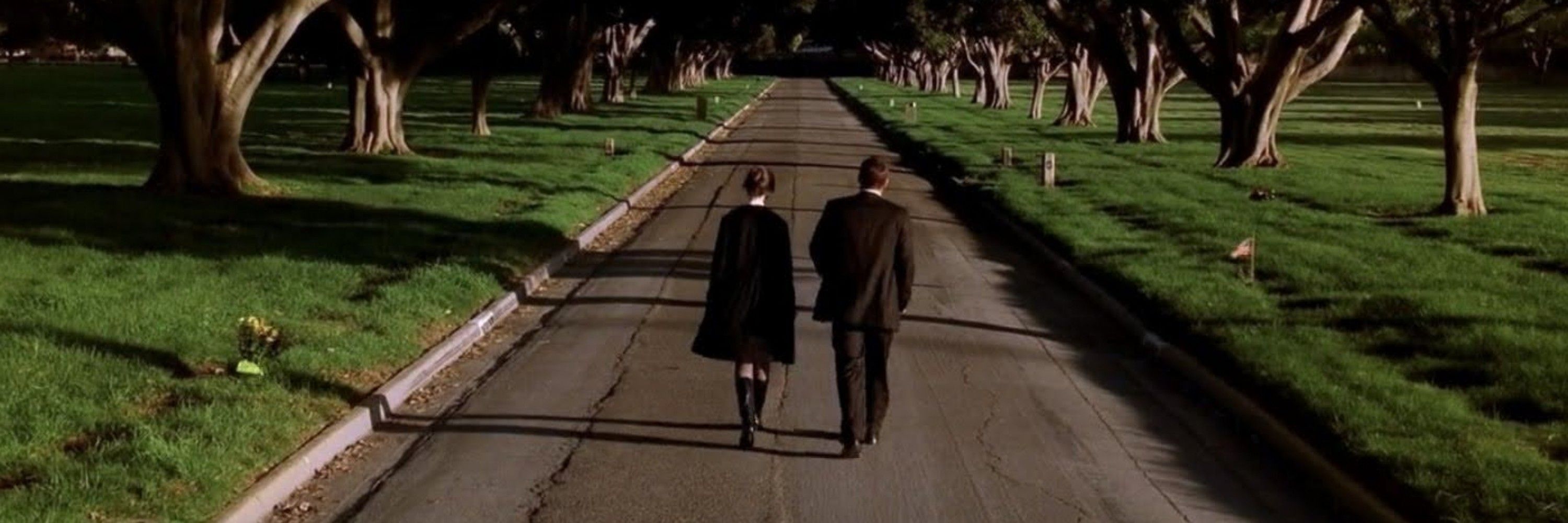 b | bones⁸ rewatch