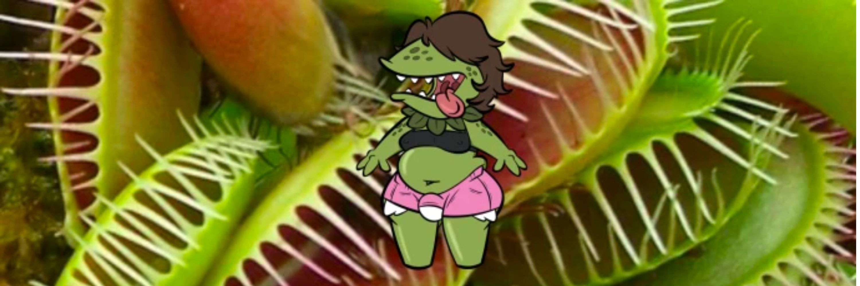 Venus the fly trap 🪰🌱