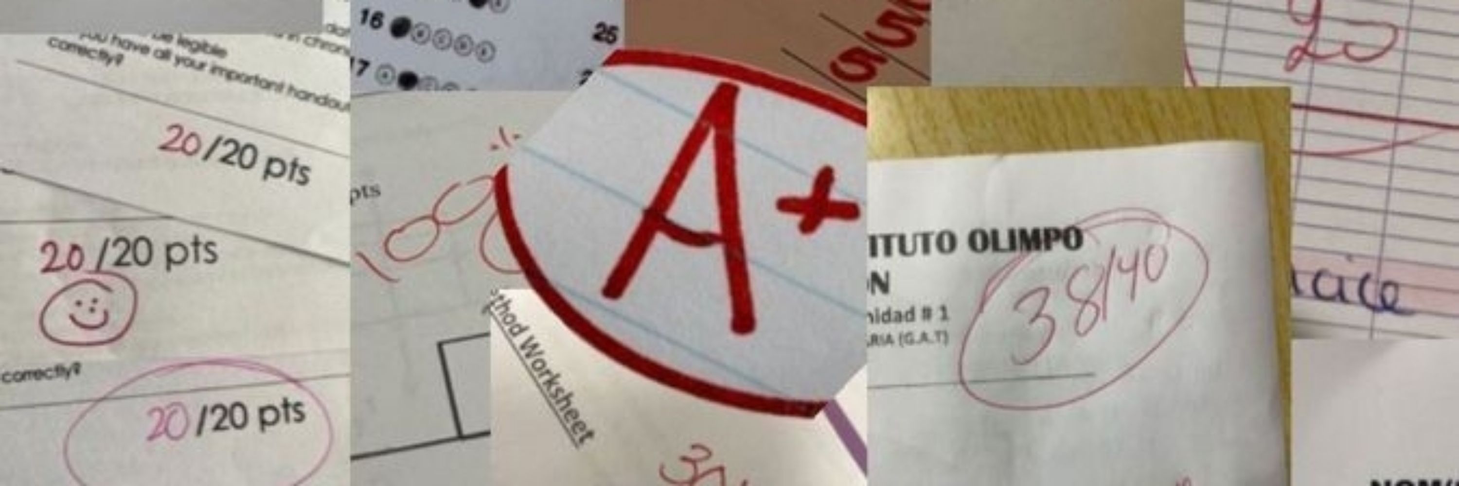 eva estudando