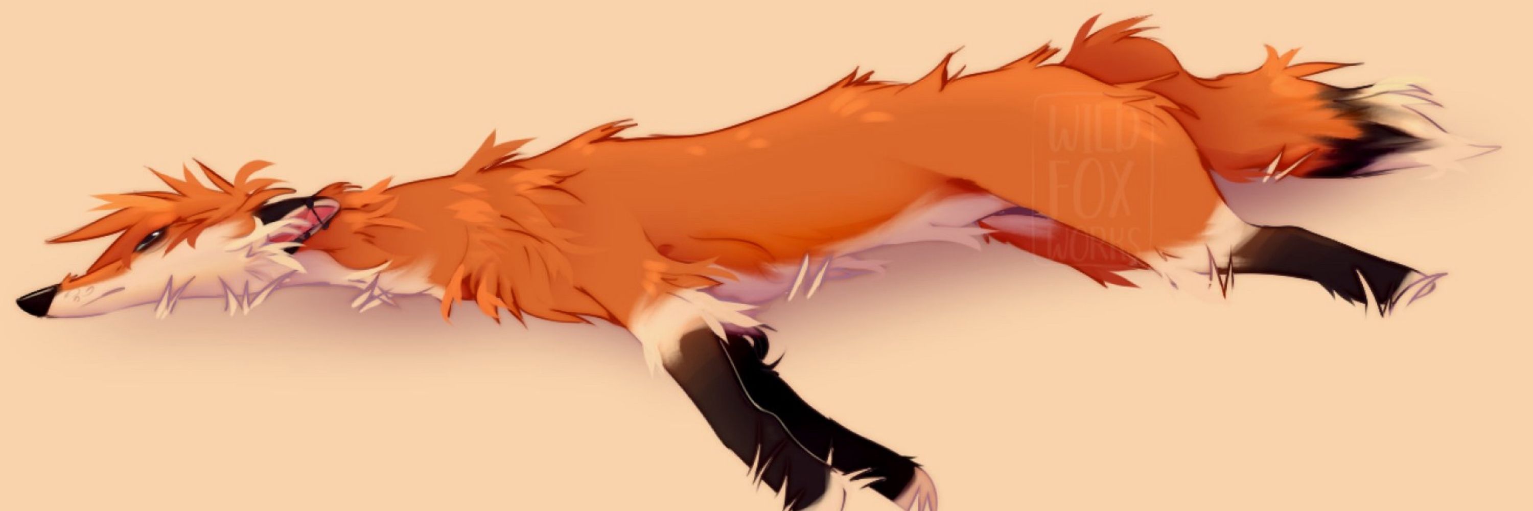 ShawnTails