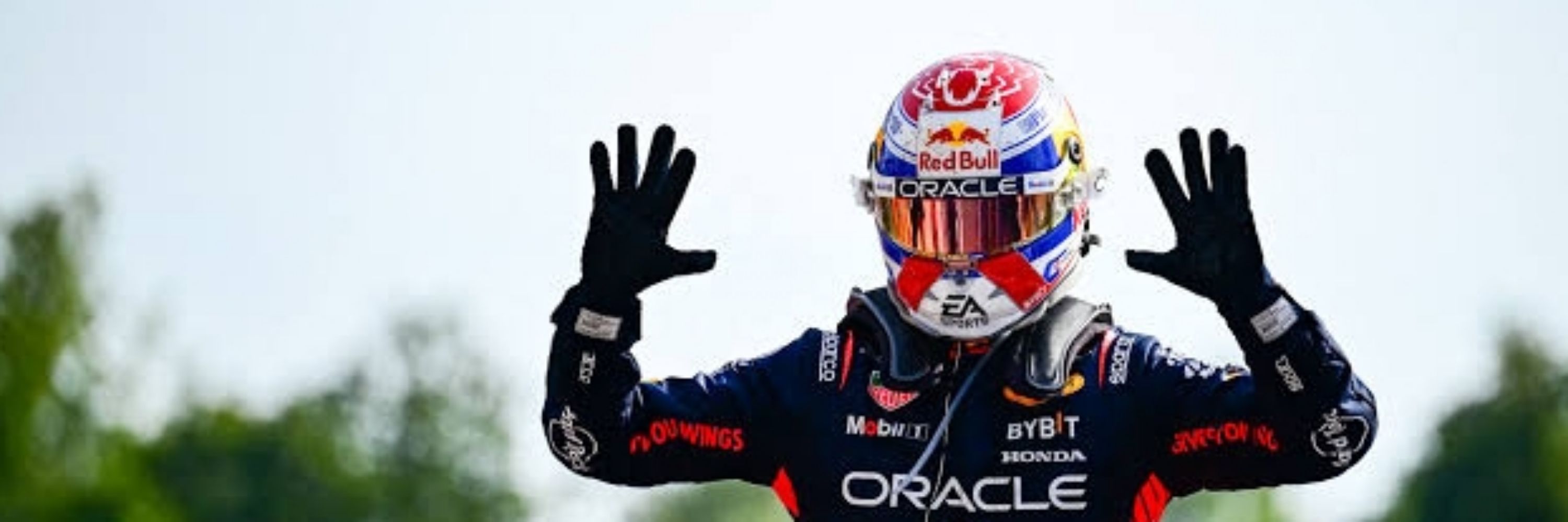Max Verstappen BR
