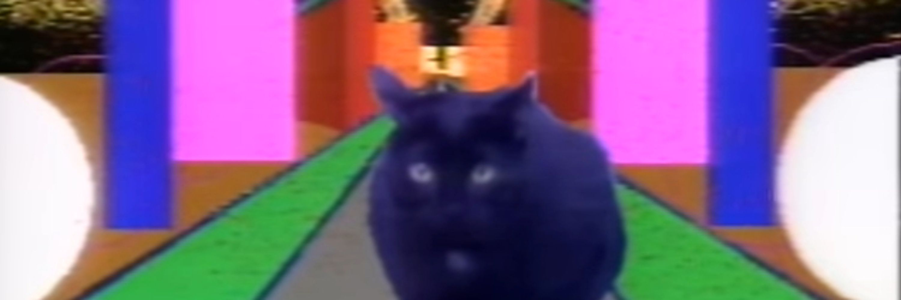 crispysteve42