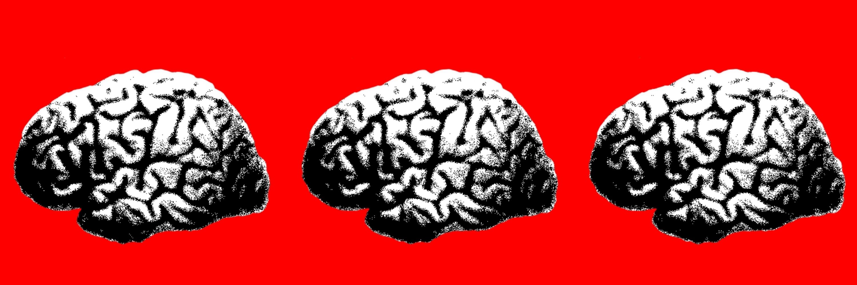 🧠Brain.Freak🧠