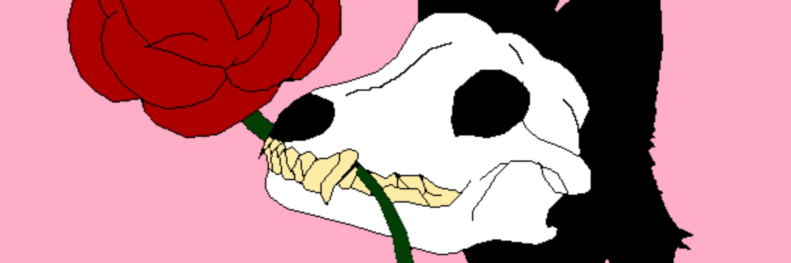 Shade The Skully💕