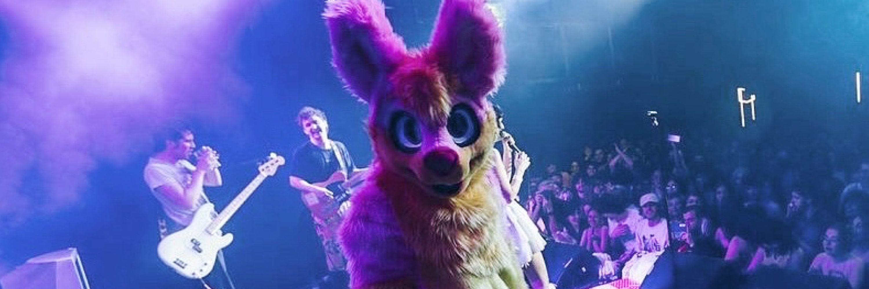 Kendall🐰
