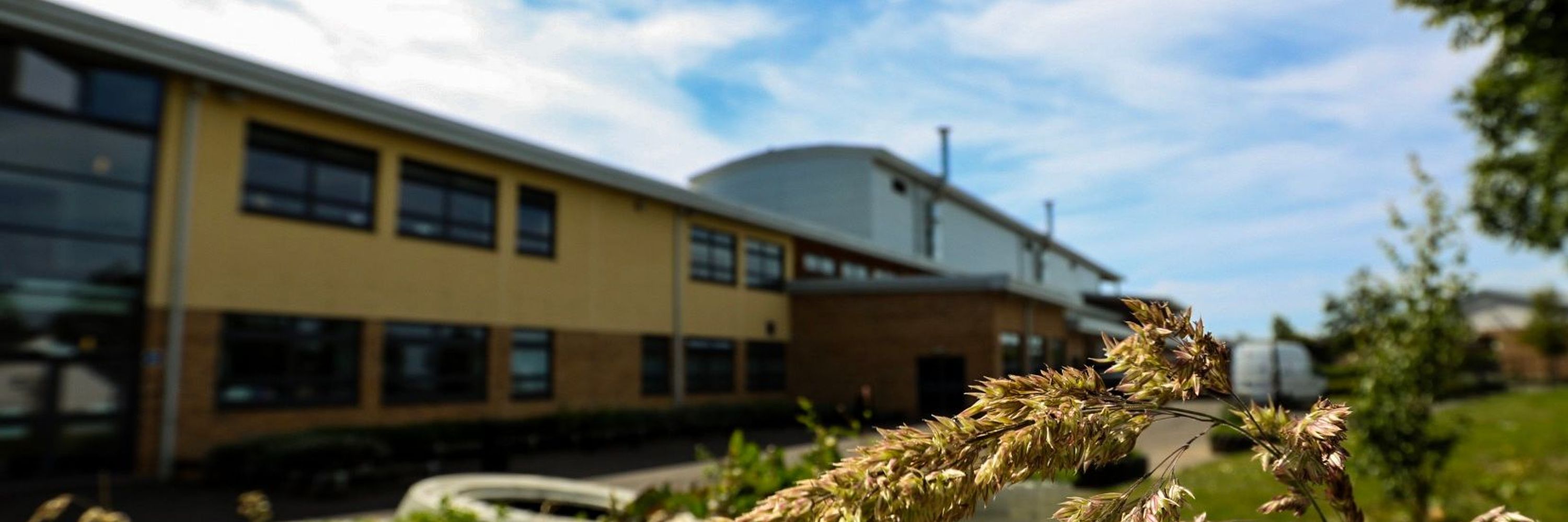 Larkhall Academy