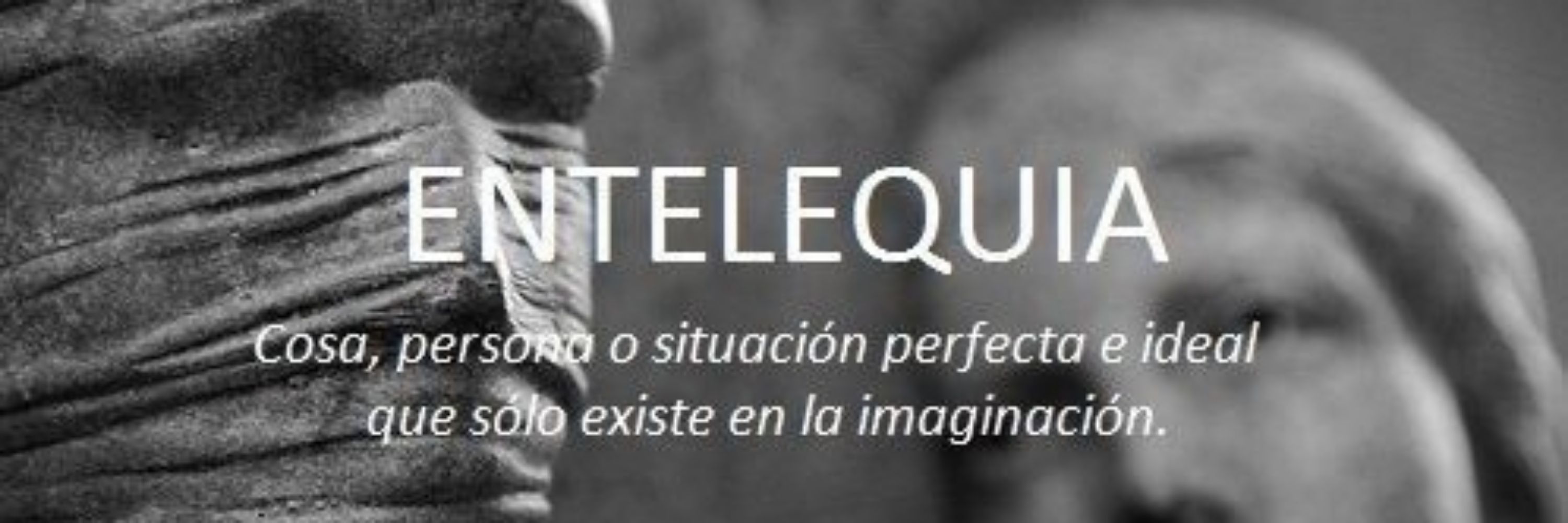 QuinquiSupport