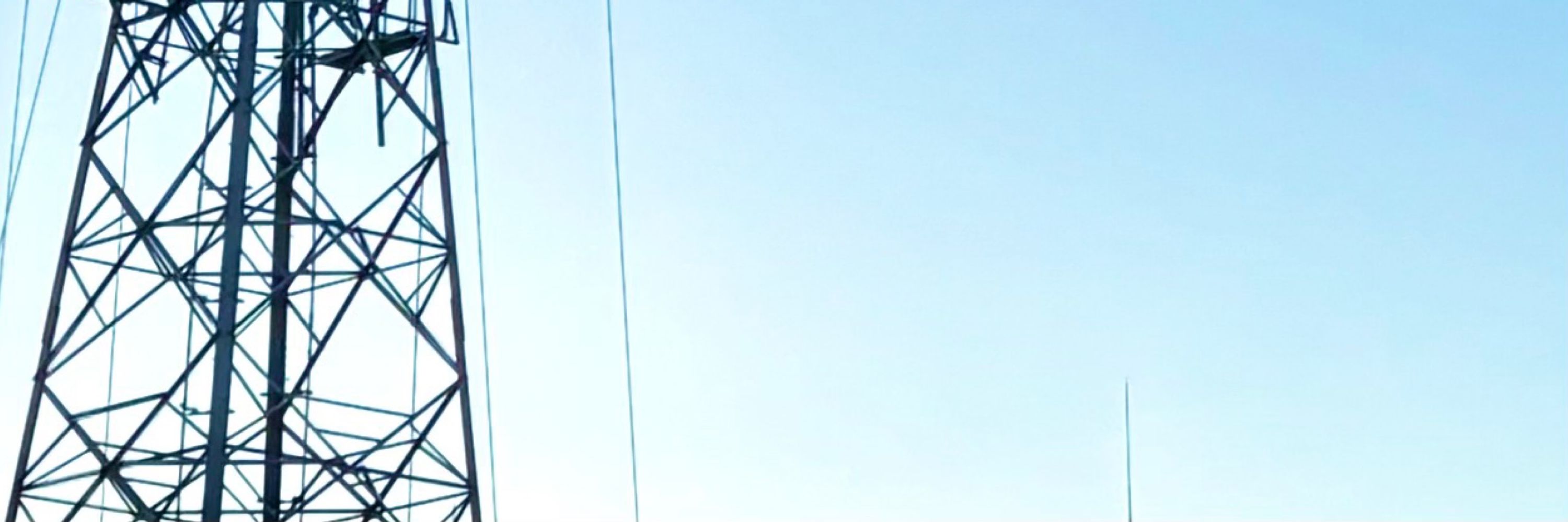 ぶり大根
