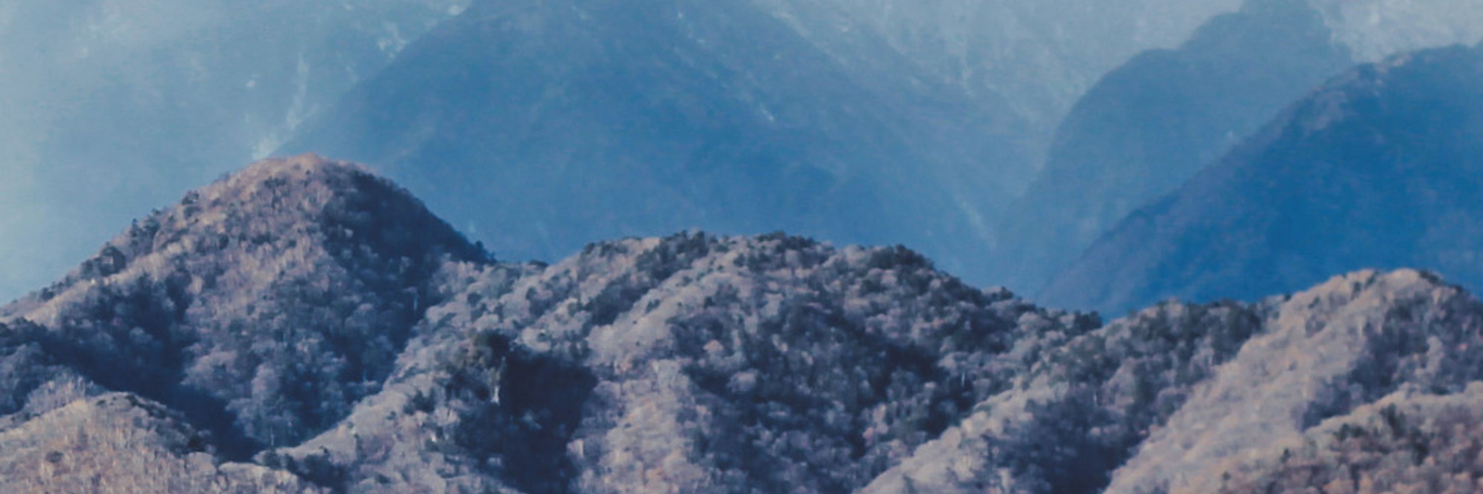 auriel » We Leave the Elves Out Now