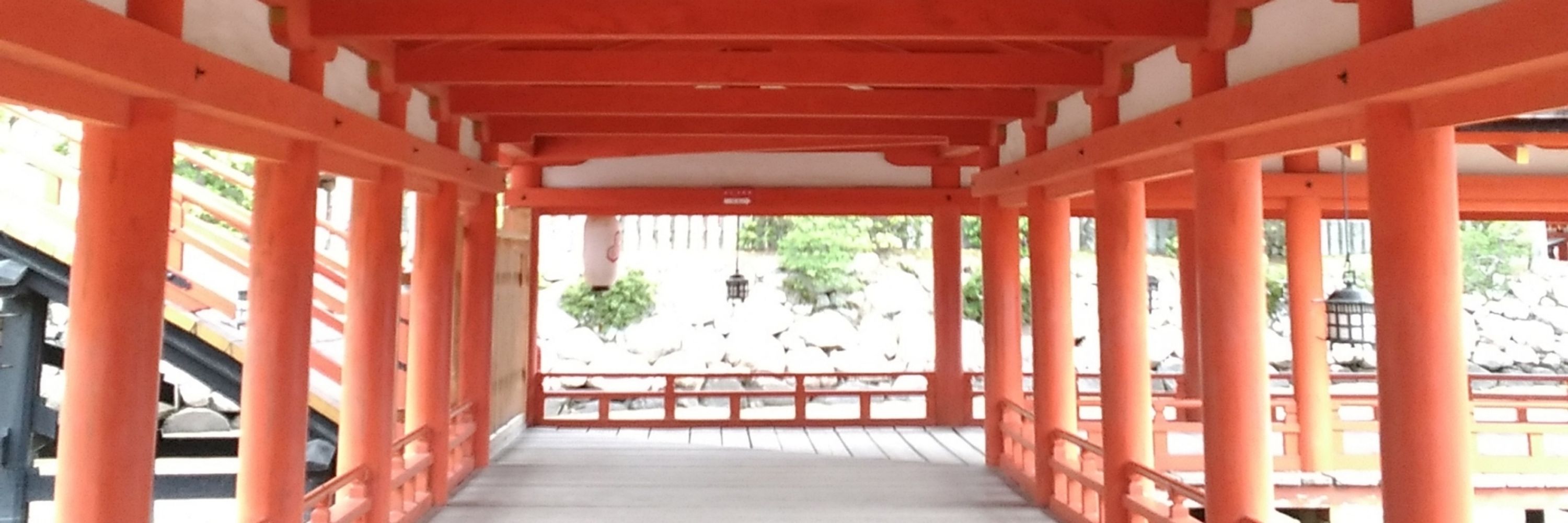 キノ←山椒（名前変えたよ）