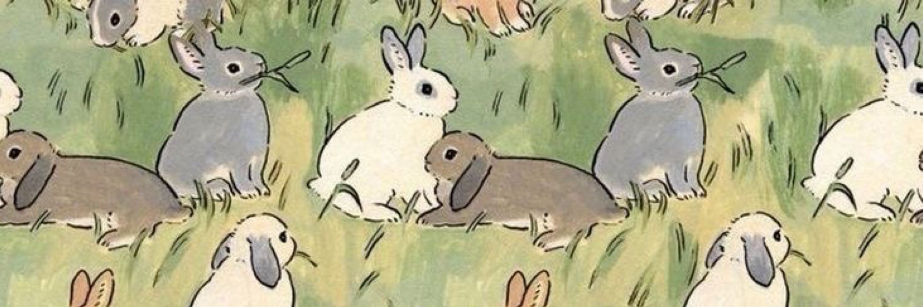 nabissi ･⁺🐰