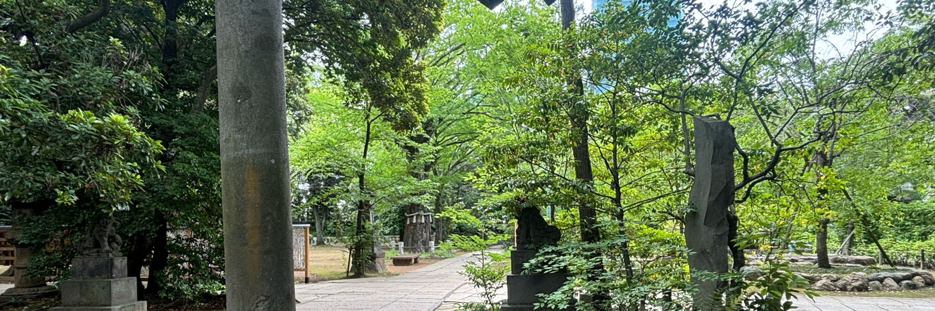 ゆずまる