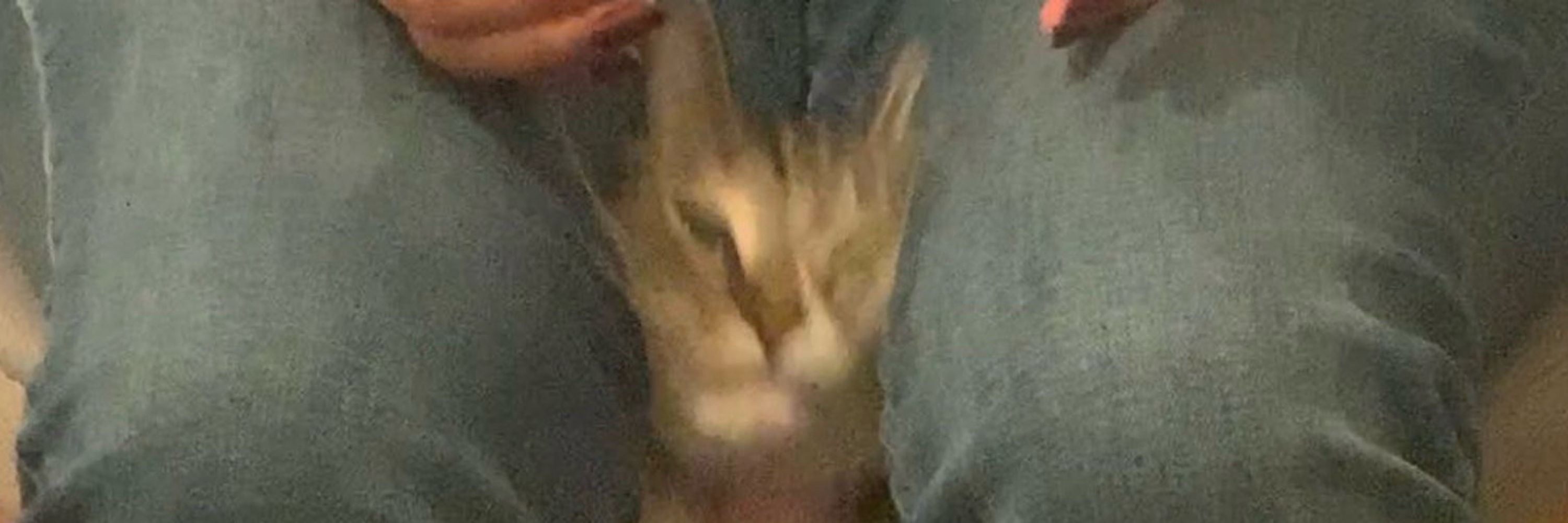 PussyCatte 🔞