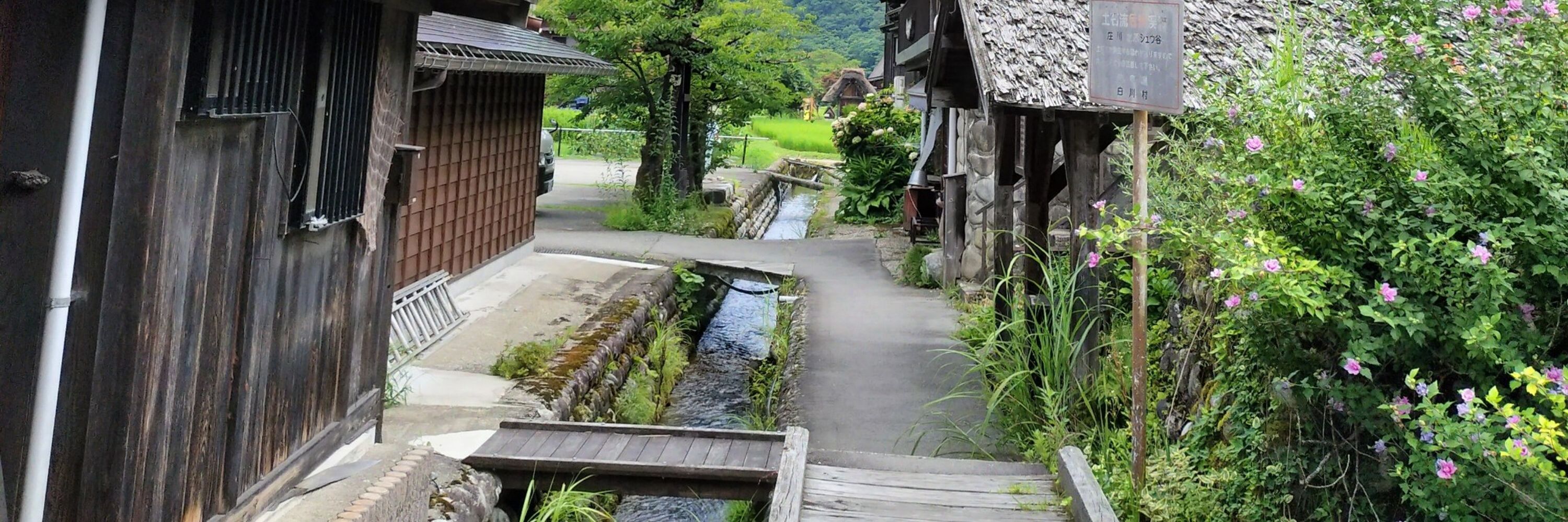 あおい