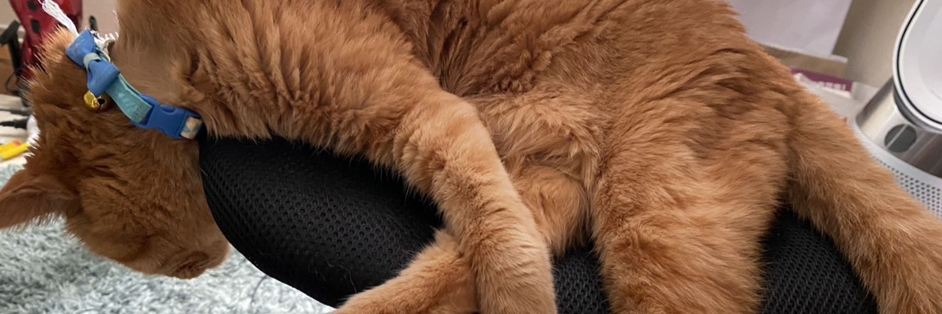 信