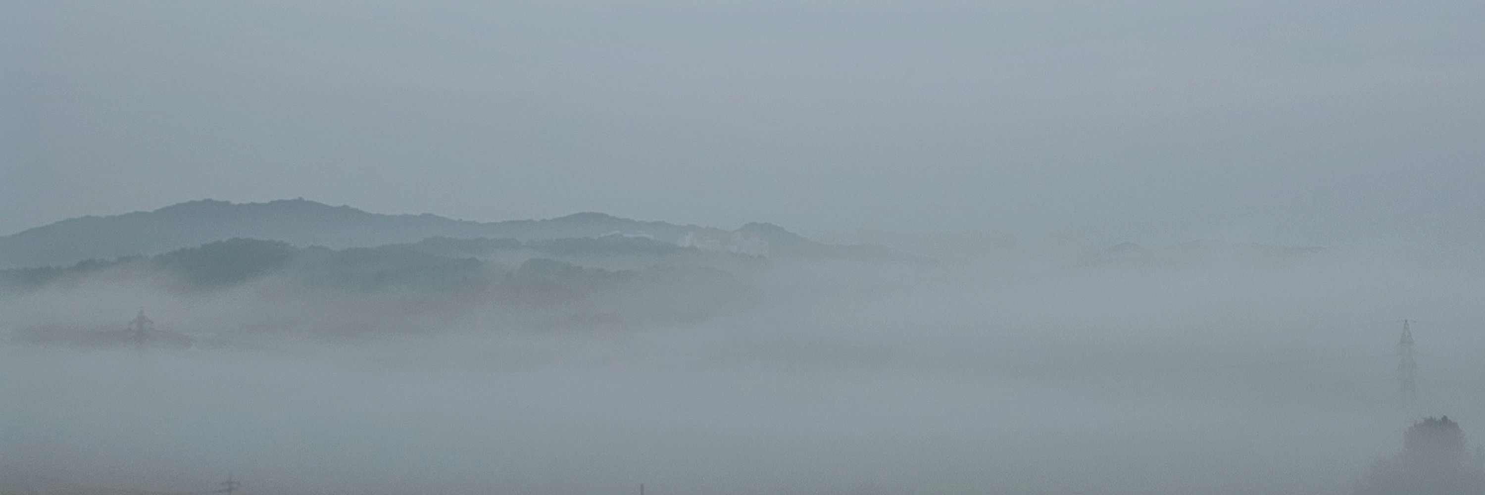 석온향