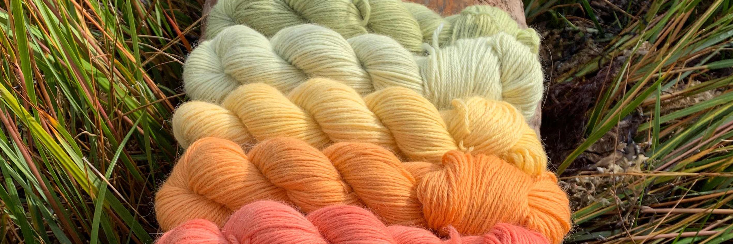 Botanical Fibres 
