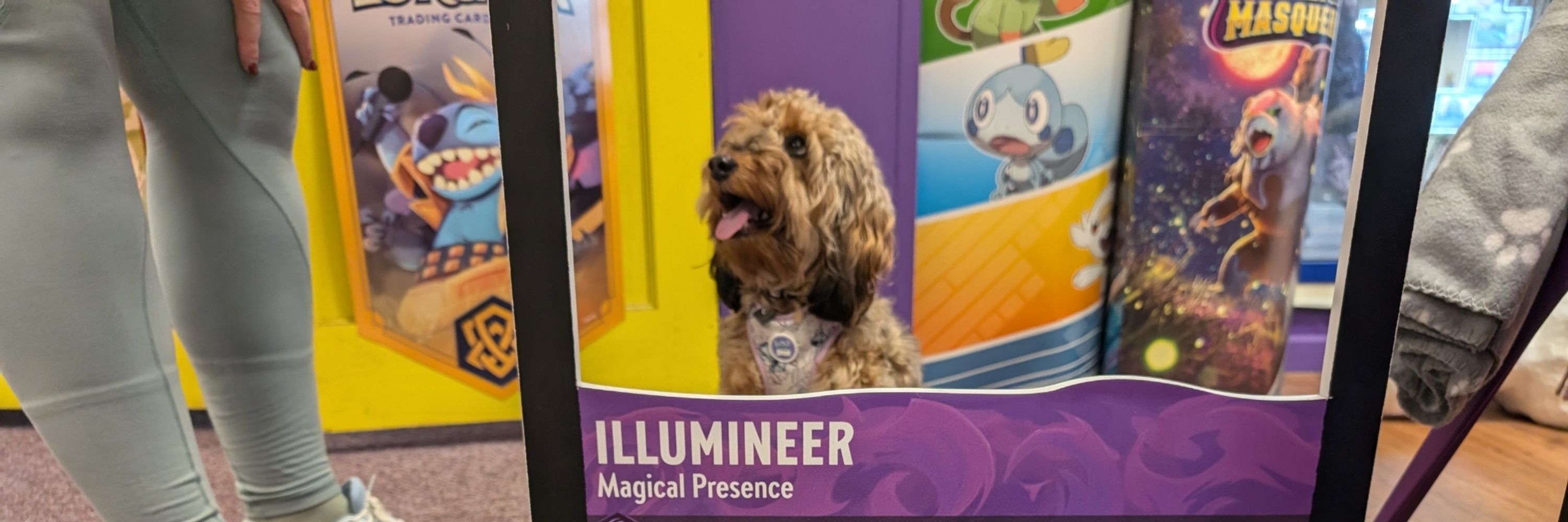 Pawcana