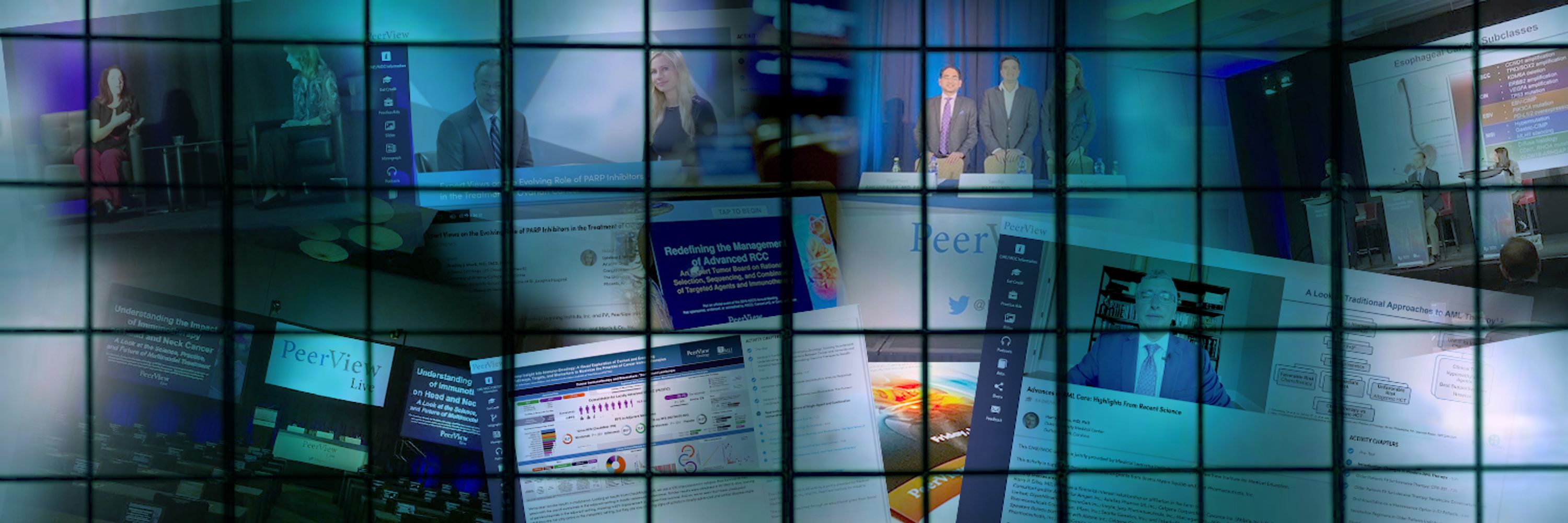 PeerView