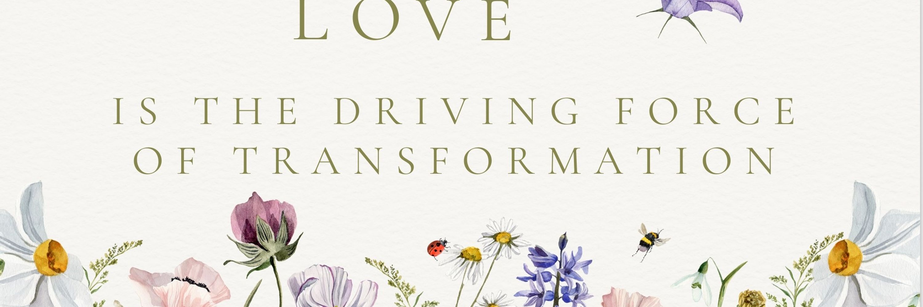Gráinne Clancy Evolution Counselling