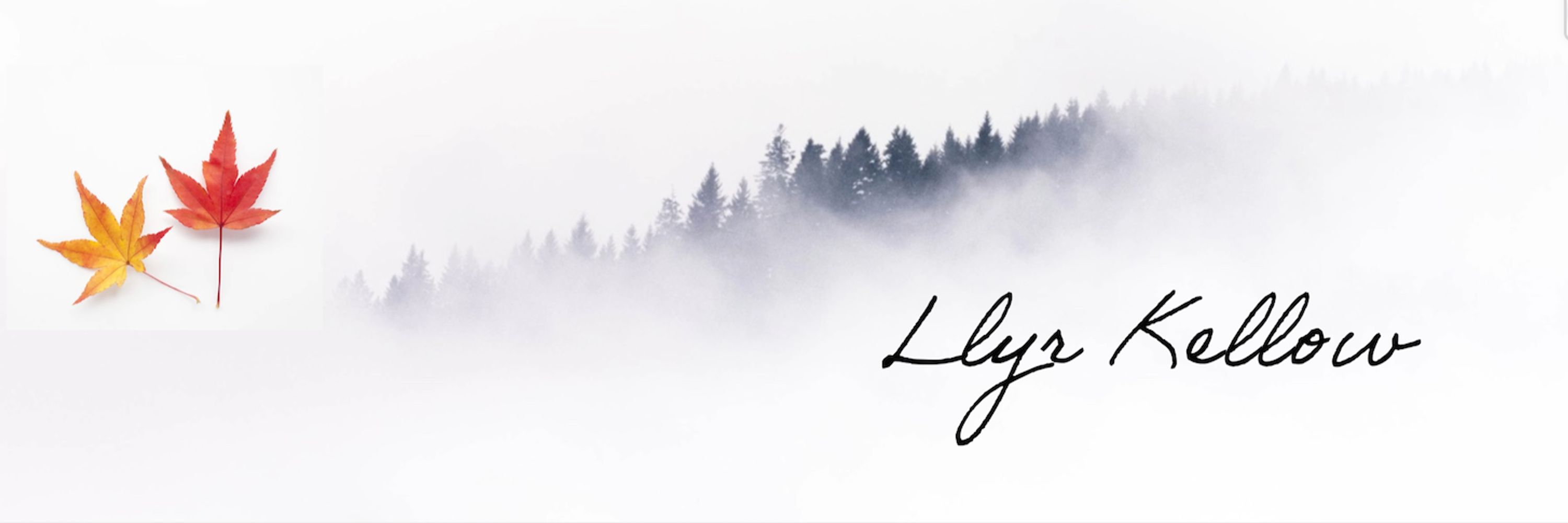 Llyr Kellow 🇨🇦✍️👨🏻‍🦳🦋🌈📚🇨🇦