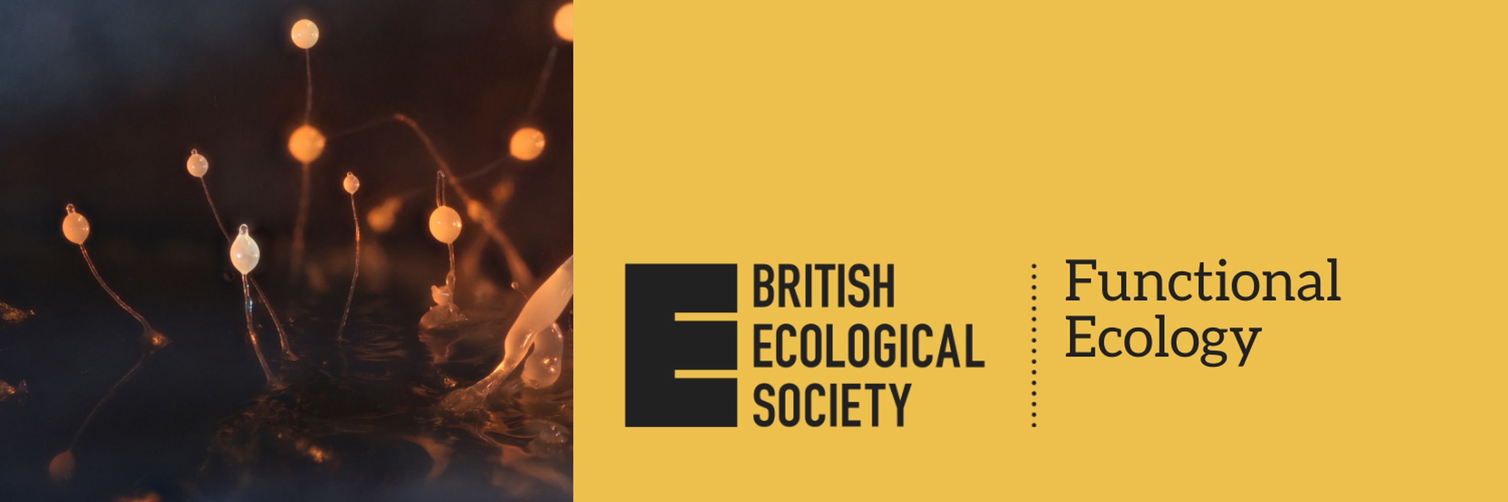 Functional Ecology 