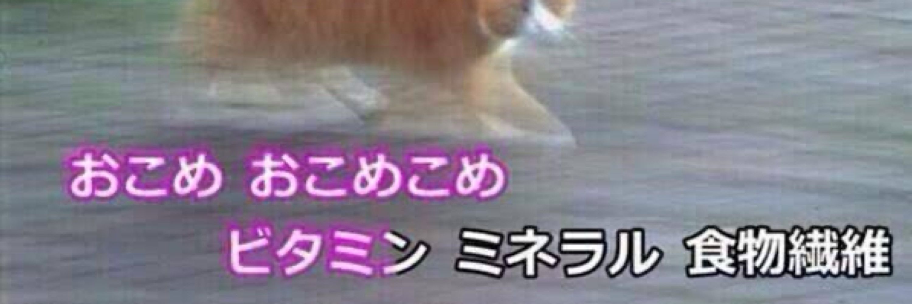 めし