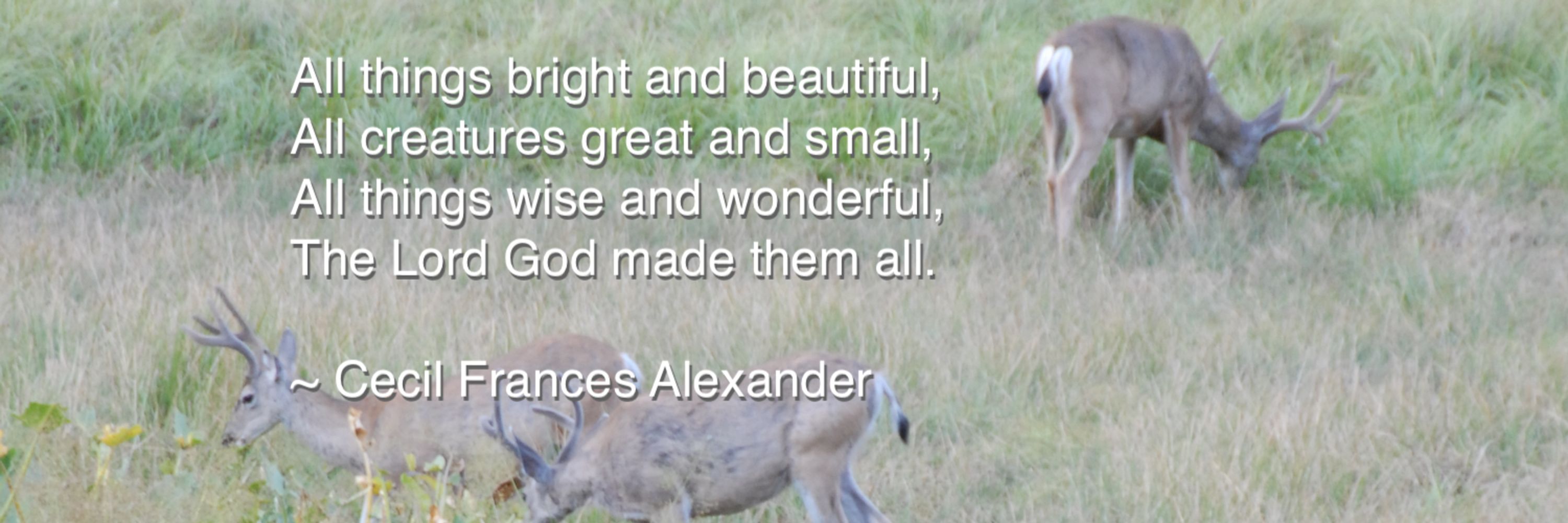 Wonderful