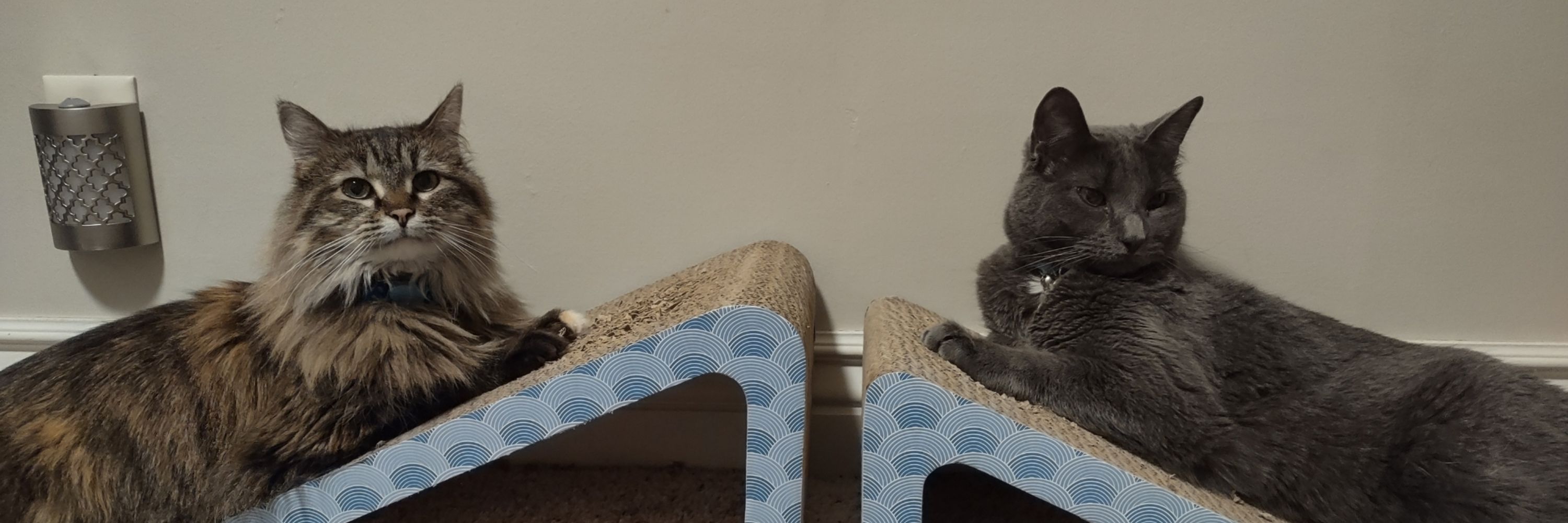 Old Man Squisholas