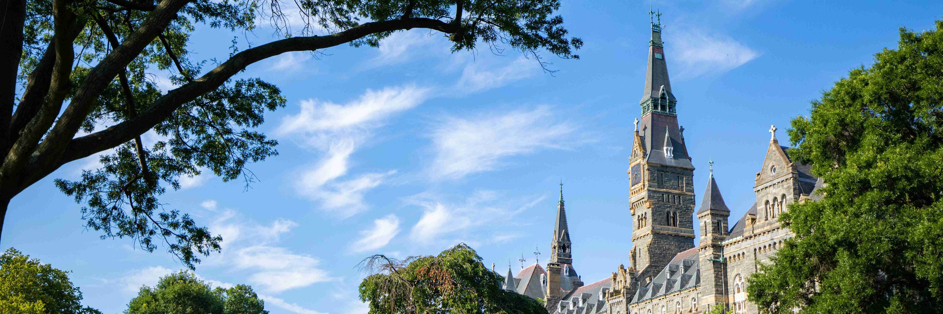 Georgetown School of Foreign Service