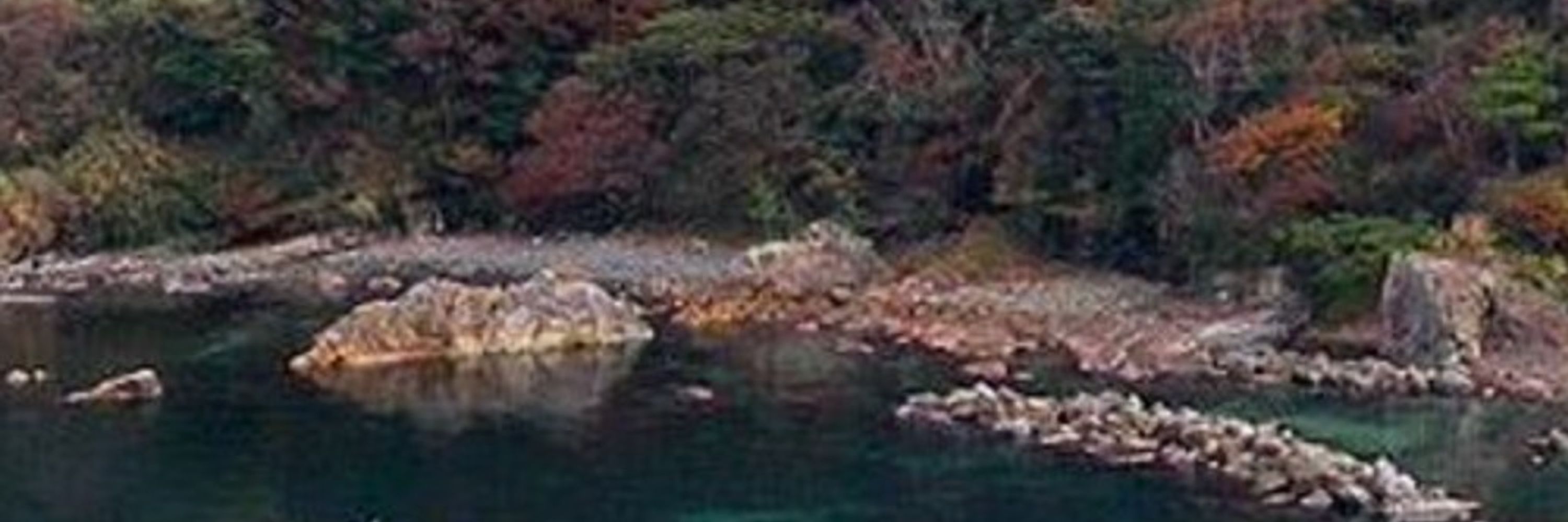 土蜘蛛