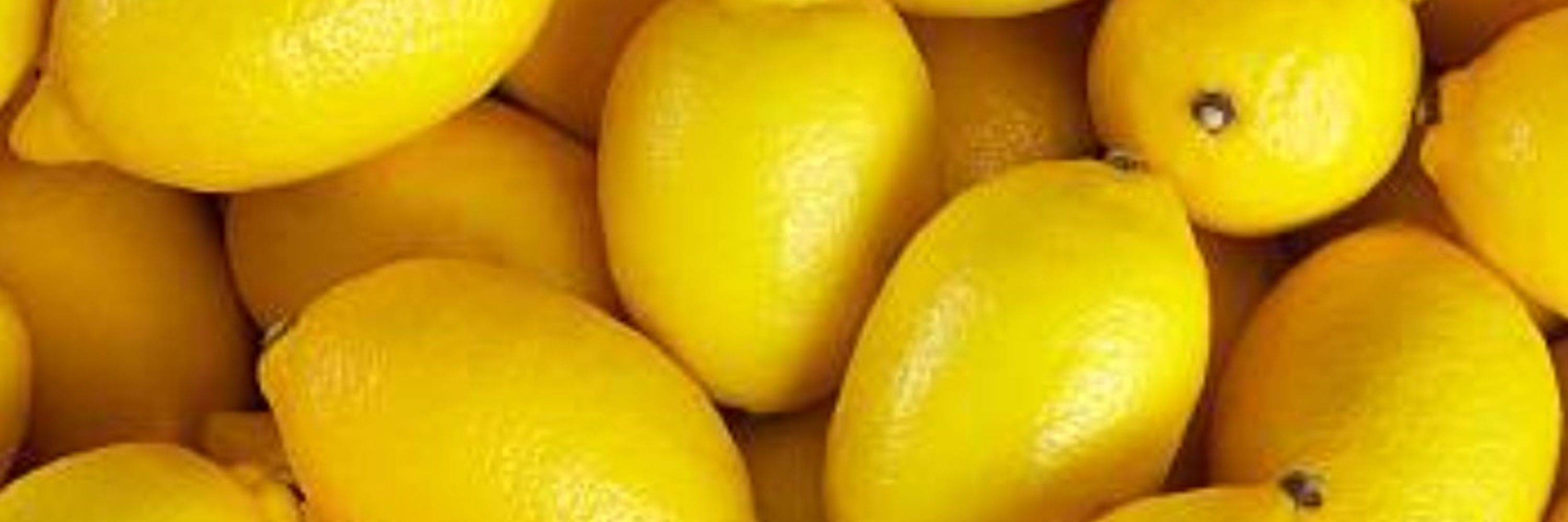 🍋Mentally Deranged Lemon🍋🔞
