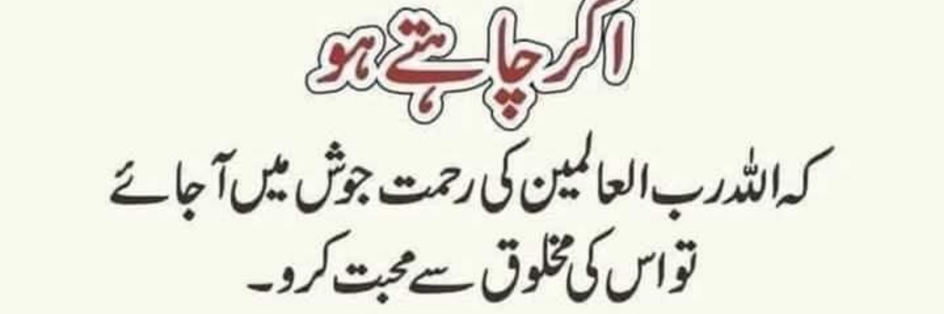 Rafiq Abid
