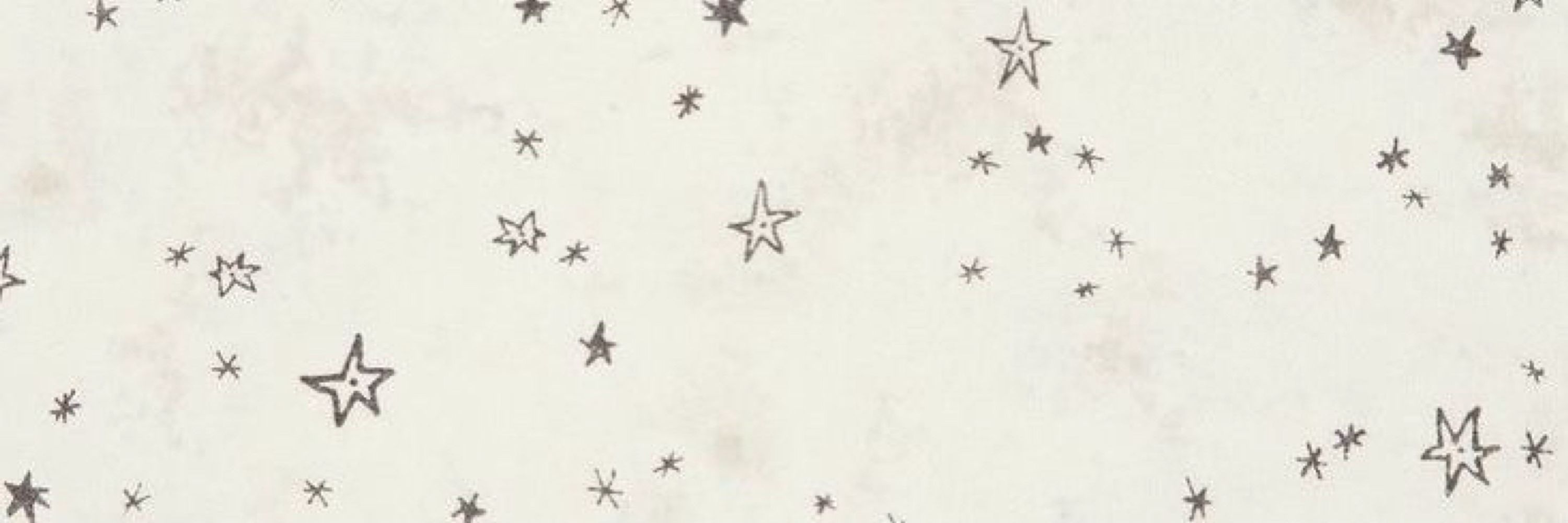 ✶ ࣭ ׂ  analu. 