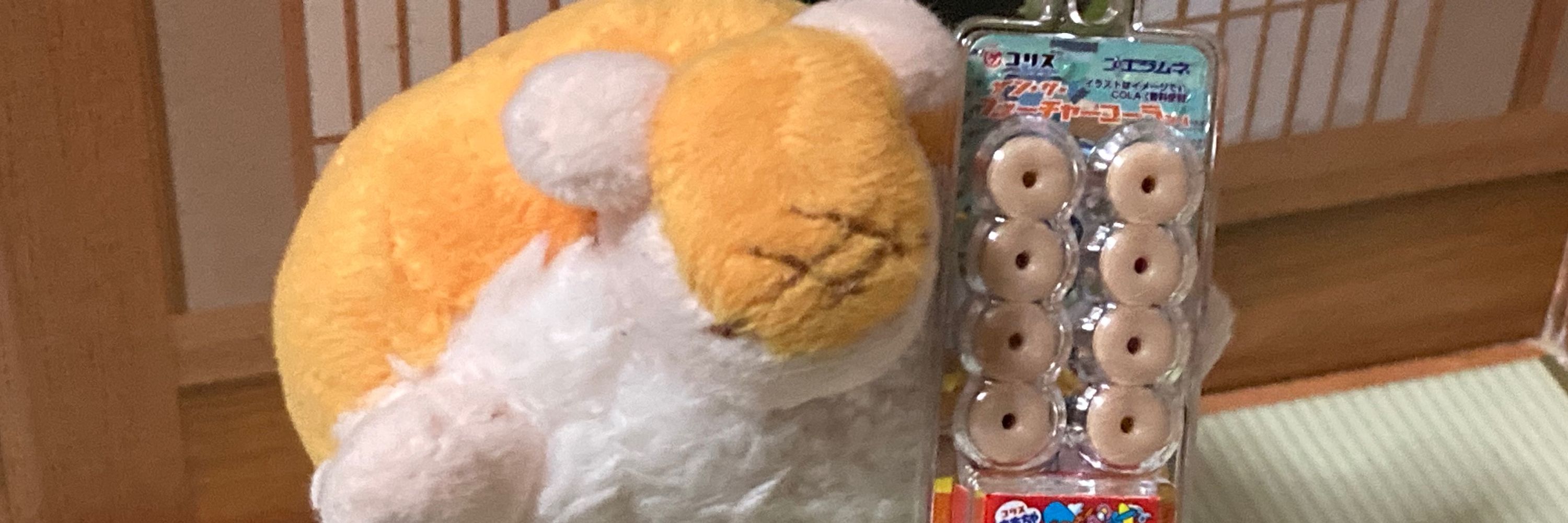 夜明🌙