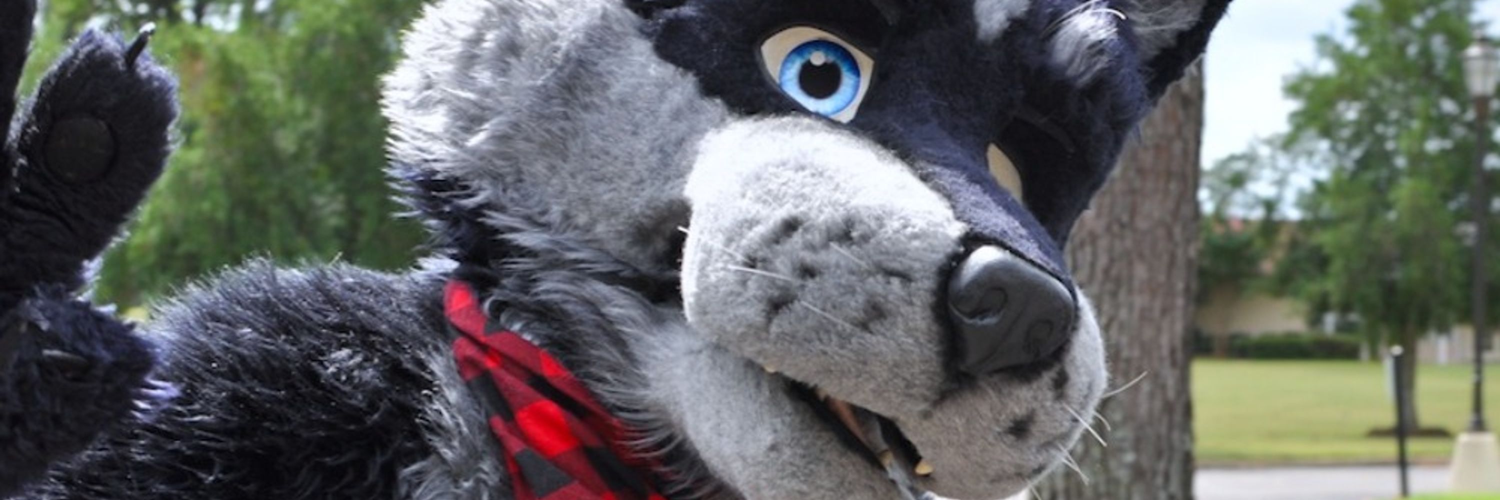 Rosco Wolf