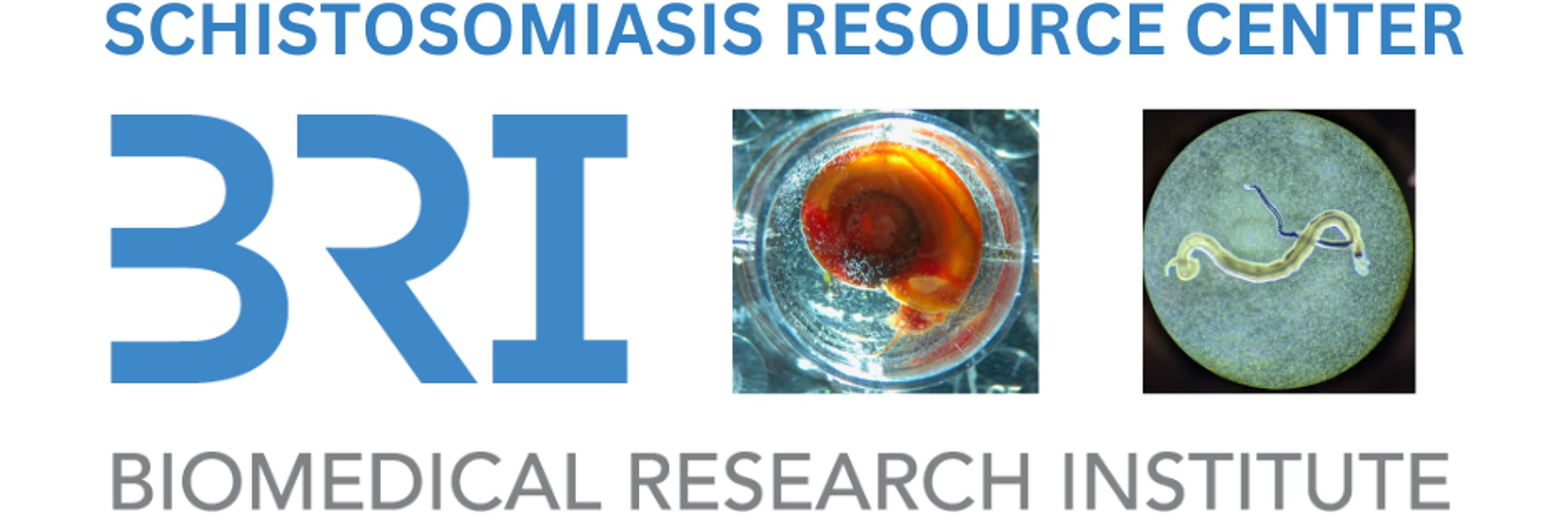 Schistosomiasis Resource Center at BRI