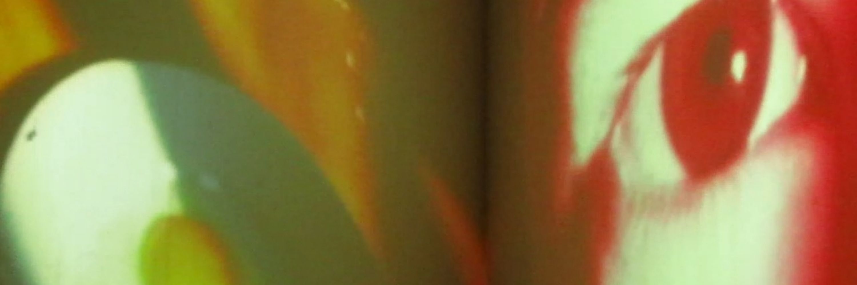 levo