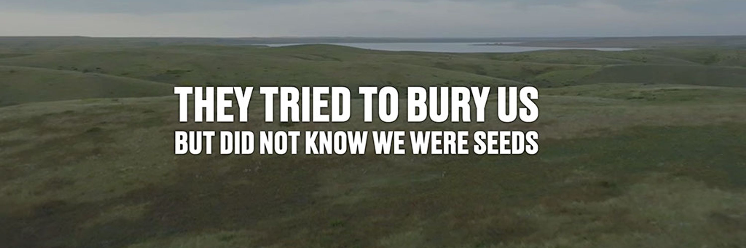 They Tried to Bury Us