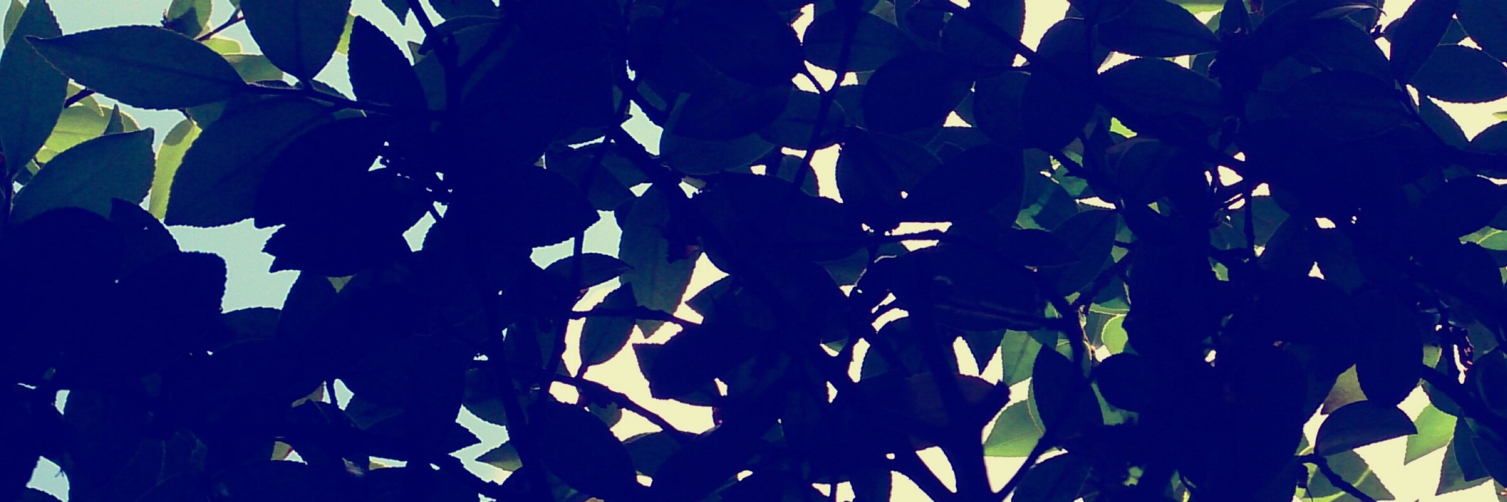 a8ka