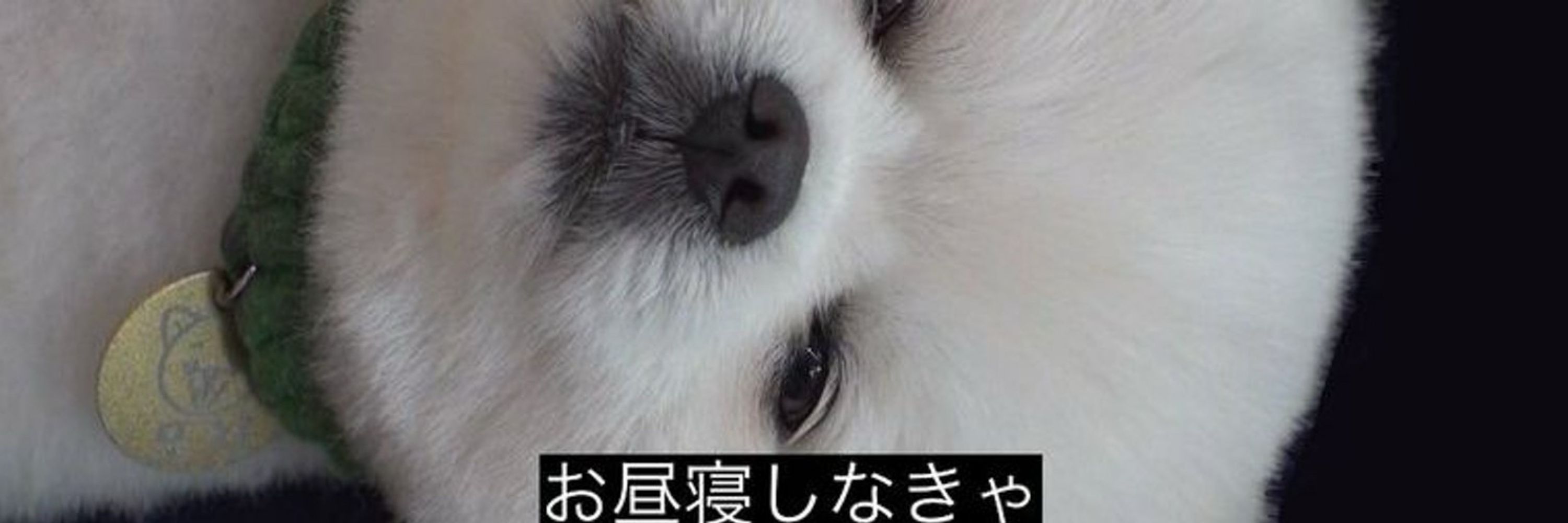 nana