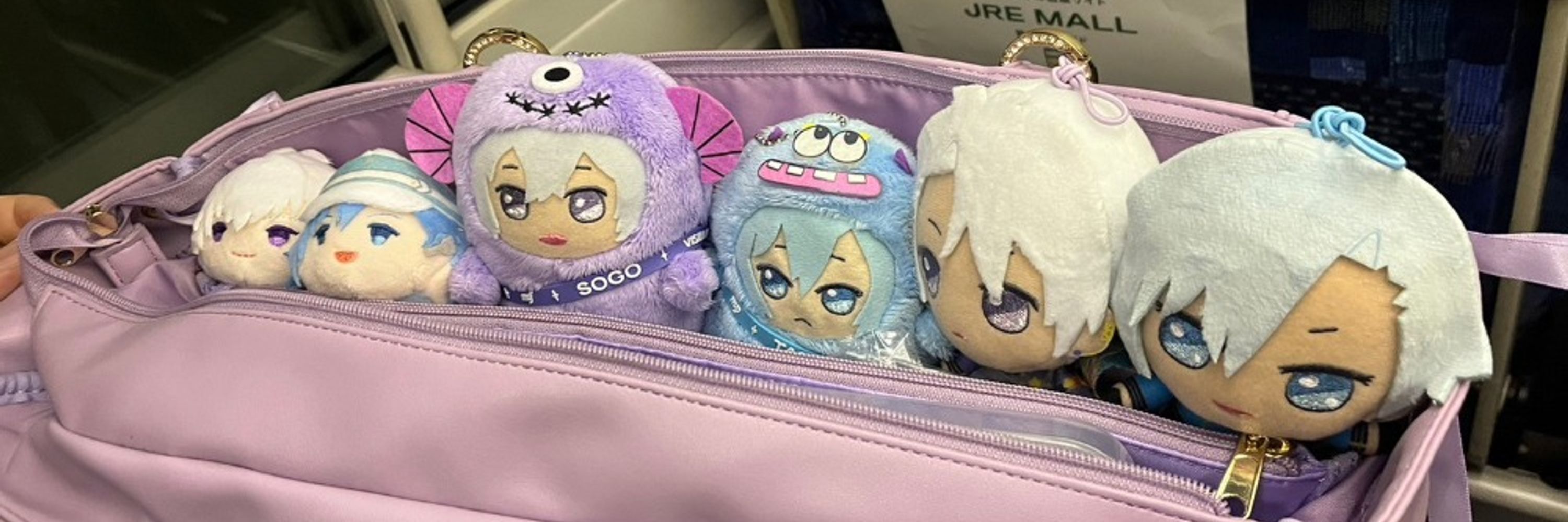 ナマコ