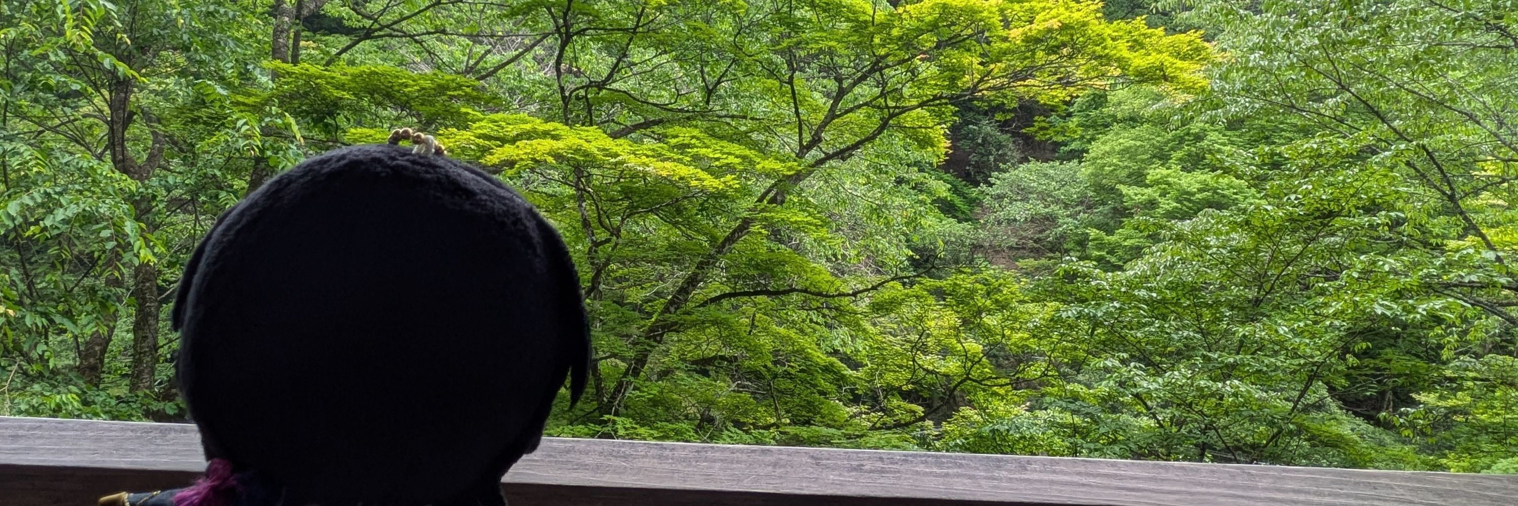 やなぎ
