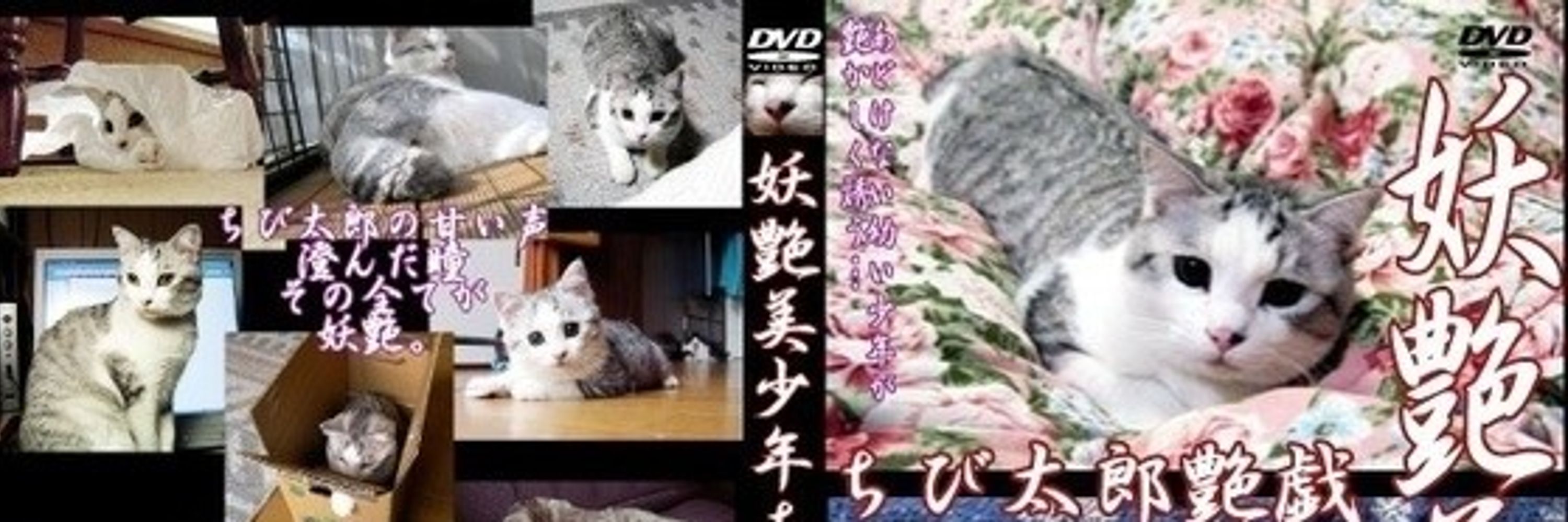 kitty014