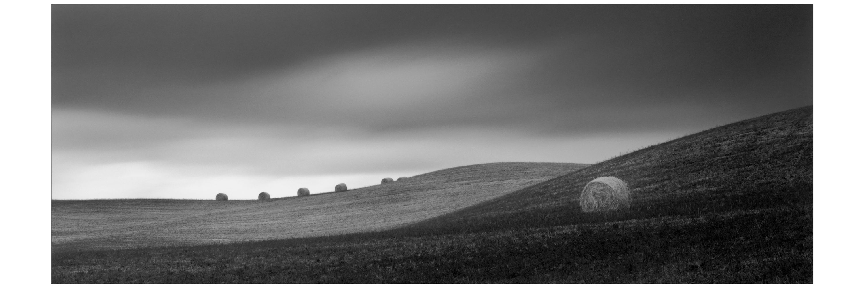 Brian Kosoff